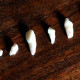 significado-de-sonhar-com-dente-orthoclinica-dentista-sbc-abc